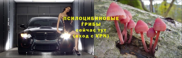 сатива Мегион