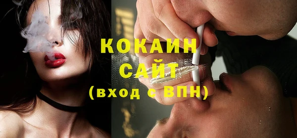 сатива Мегион
