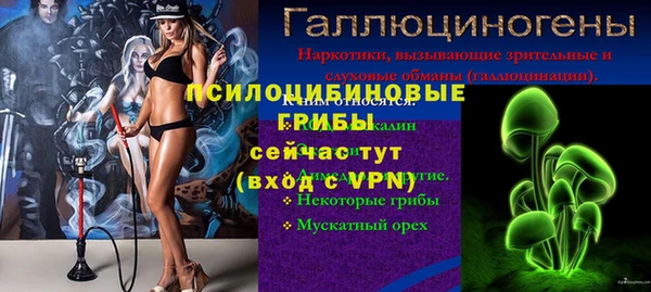 сатива Мегион