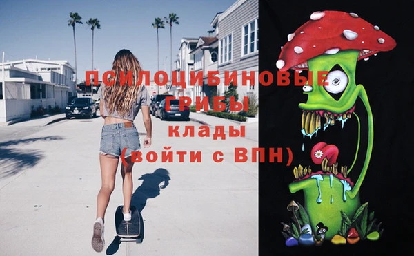 сатива Мегион