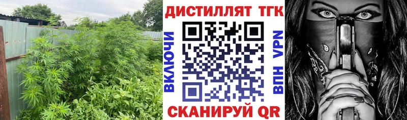 наркошоп  Новомичуринск  ТГК THC oil 