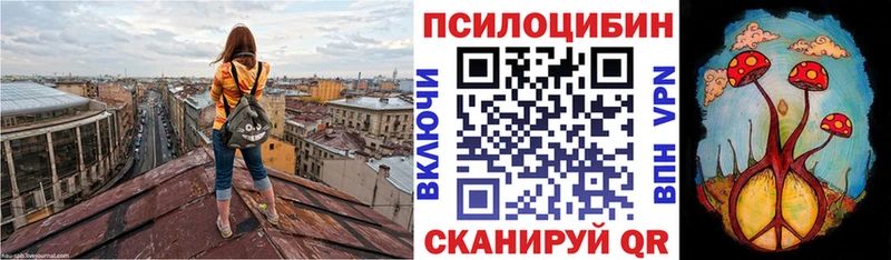 Галлюциногенные грибы Psilocybe  хочу   Новомичуринск 